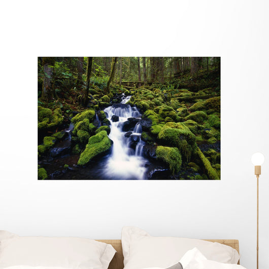 Moss-Covered Rocks In Creek With Small Waterfall Wall Mural