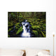 Moss-Covered Rocks In Creek With Small Waterfall Wall Mural