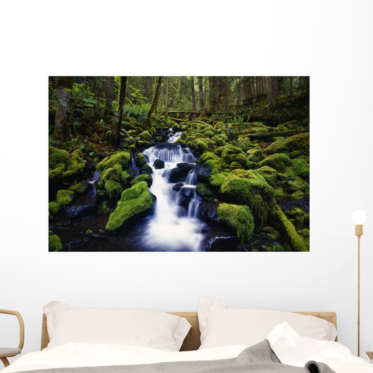 Moss-Covered Rocks In Creek With Small Waterfall Wall Mural