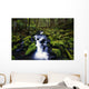 Moss-Covered Rocks In Creek With Small Waterfall Wall Mural
