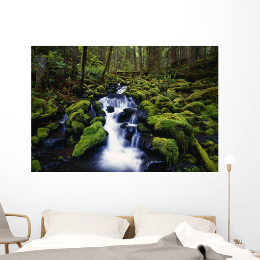 Moss-Covered Rocks In Creek With Small Waterfall Wall Mural