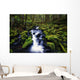 Moss-Covered Rocks In Creek With Small Waterfall Wall Mural