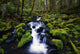 Moss-Covered Rocks In Creek With Small Waterfall Wall Mural