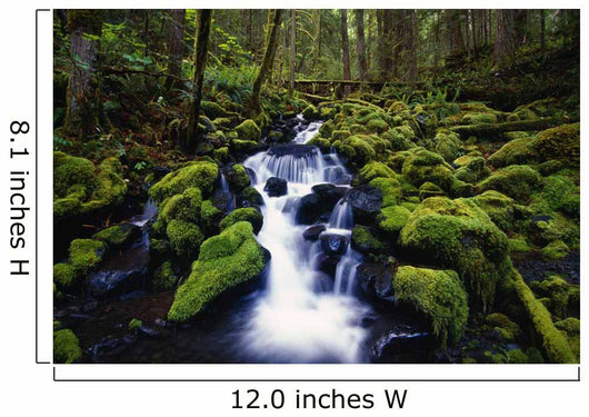 Moss-Covered Rocks In Creek With Small Waterfall Wall Mural