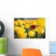 Single Red Tulip Among Yellow Tulips Wall Mural