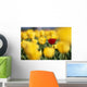 Single Red Tulip Among Yellow Tulips Wall Mural