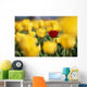 Single Red Tulip Among Yellow Tulips Wall Mural