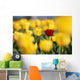 Single Red Tulip Among Yellow Tulips Wall Mural