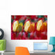 Yellow And Red Tulip Blooms Wall Mural