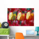 Yellow And Red Tulip Blooms Wall Mural