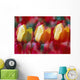 Yellow And Red Tulip Blooms Wall Mural