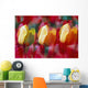 Yellow And Red Tulip Blooms Wall Mural