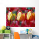 Yellow And Red Tulip Blooms Wall Mural