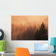Sunset Through Dense Fog Wall Mural