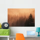 Sunset Through Dense Fog Wall Mural