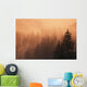 Sunset Through Dense Fog Wall Mural