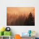 Sunset Through Dense Fog Wall Mural