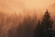 Sunset Through Dense Fog Wall Mural