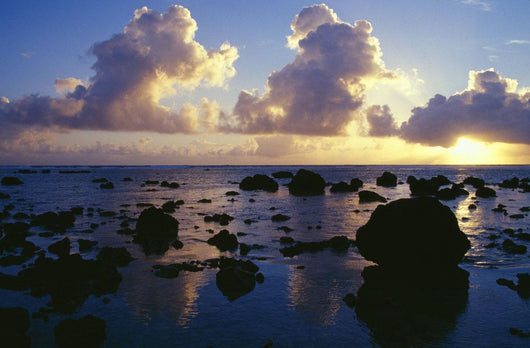 Rarotonga Island Wall Mural