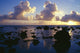 Rarotonga Island Wall Mural