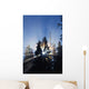 Sunburst Through Silhouetted Pine Trees Wall Mural