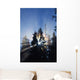 Sunburst Through Silhouetted Pine Trees Wall Mural