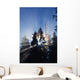 Sunburst Through Silhouetted Pine Trees Wall Mural