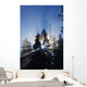 Sunburst Through Silhouetted Pine Trees Wall Mural