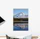 Trillium Lake With Mount Hood Reflection, Mount Hood National Forest Wall Mural