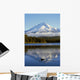 Trillium Lake With Mount Hood Reflection, Mount Hood National Forest Wall Mural