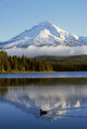 Trillium Lake With Mount Hood Reflection, Mount Hood National Forest Wall Mural