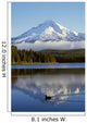 Trillium Lake With Mount Hood Reflection, Mount Hood National Forest Wall Mural