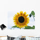 Close-Up Of Blooming Sunflower Wall Mural