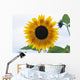 Close-Up Of Blooming Sunflower Wall Mural