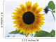 Close-Up Of Blooming Sunflower Wall Mural