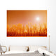 Trees With Sunlight Wall Mural