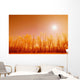 Trees With Sunlight Wall Mural