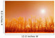 Trees With Sunlight Wall Mural
