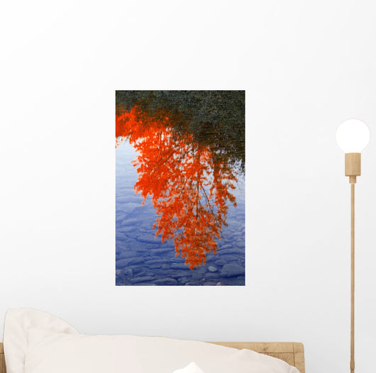 Autumn Reflections Wall Mural