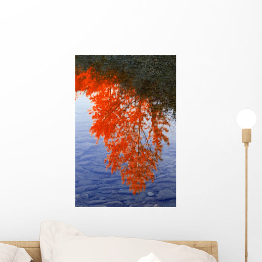 Autumn Reflections Wall Mural