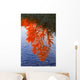Autumn Reflections Wall Mural