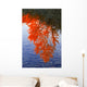 Autumn Reflections Wall Mural