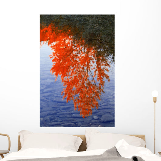 Autumn Reflections Wall Mural