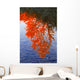 Autumn Reflections Wall Mural