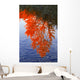 Autumn Reflections Wall Mural