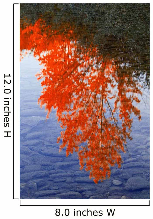 Autumn Reflections Wall Mural