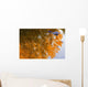 Autumn Reflections Wall Mural