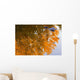 Autumn Reflections Wall Mural