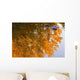 Autumn Reflections Wall Mural