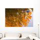 Autumn Reflections Wall Mural